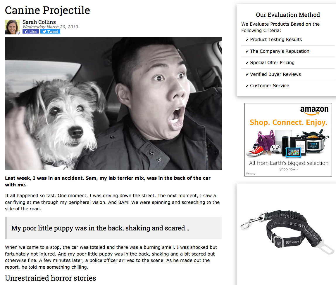 PawSafe Dog Seat Belt Advertorial